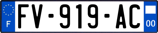 FV-919-AC