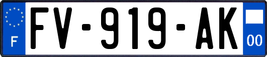 FV-919-AK