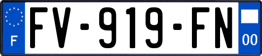 FV-919-FN