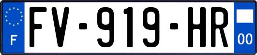 FV-919-HR
