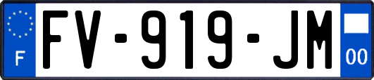 FV-919-JM
