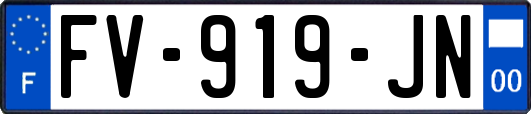 FV-919-JN