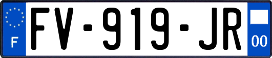 FV-919-JR