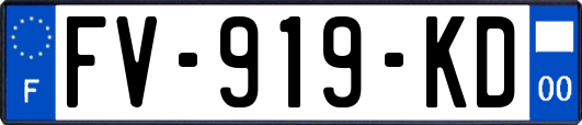 FV-919-KD