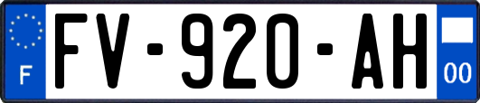 FV-920-AH