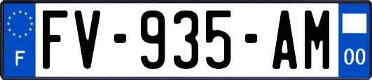 FV-935-AM