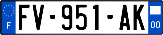 FV-951-AK