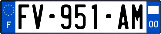 FV-951-AM