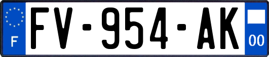 FV-954-AK