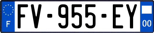FV-955-EY