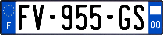 FV-955-GS