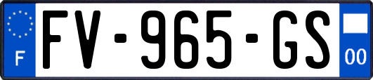 FV-965-GS