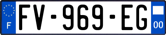 FV-969-EG
