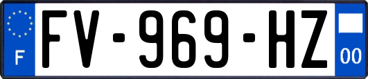 FV-969-HZ