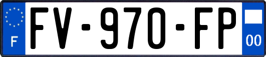 FV-970-FP