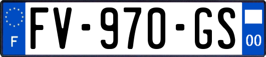 FV-970-GS