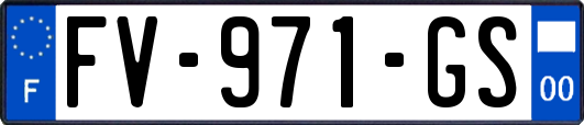 FV-971-GS