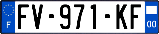 FV-971-KF