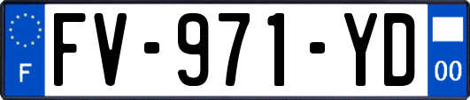 FV-971-YD