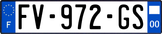 FV-972-GS