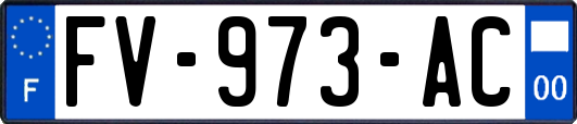 FV-973-AC