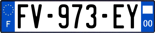 FV-973-EY