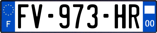FV-973-HR