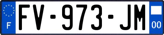 FV-973-JM