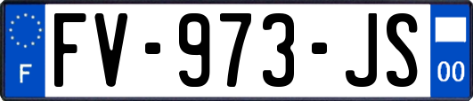FV-973-JS