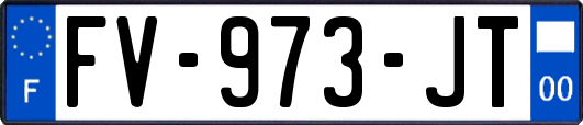 FV-973-JT