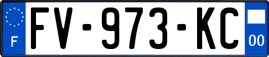 FV-973-KC