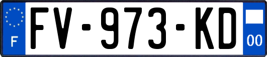 FV-973-KD