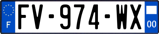 FV-974-WX