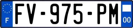 FV-975-PM