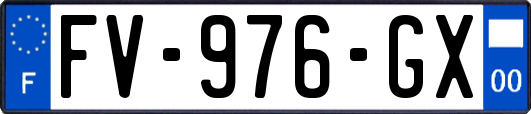 FV-976-GX