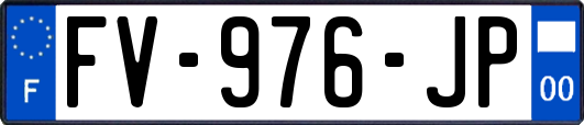 FV-976-JP
