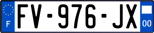 FV-976-JX