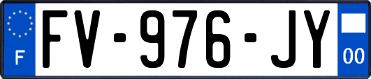 FV-976-JY
