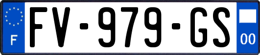 FV-979-GS