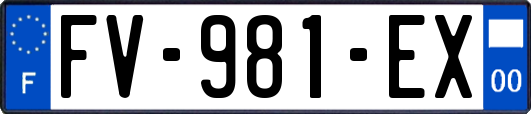 FV-981-EX