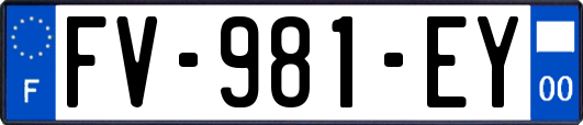 FV-981-EY