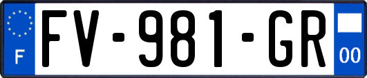 FV-981-GR