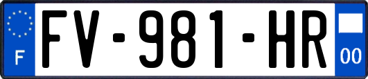 FV-981-HR