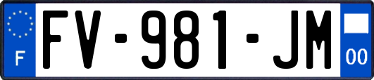 FV-981-JM