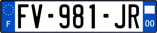 FV-981-JR