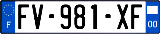 FV-981-XF