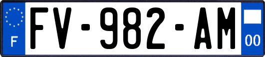 FV-982-AM