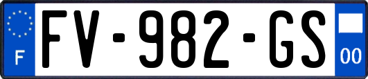 FV-982-GS