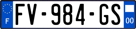 FV-984-GS