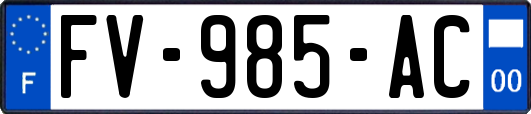 FV-985-AC